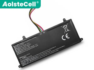 AolsteCell KG161 배터리