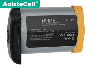 Canon LP-E19 배터리