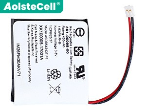 Garmin Fenix 5X 배터리