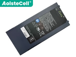 GE LOGIQ V1 배터리