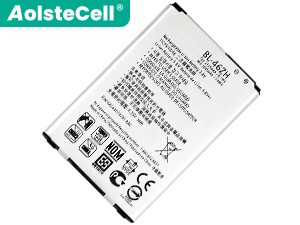 LG X210DS 배터리