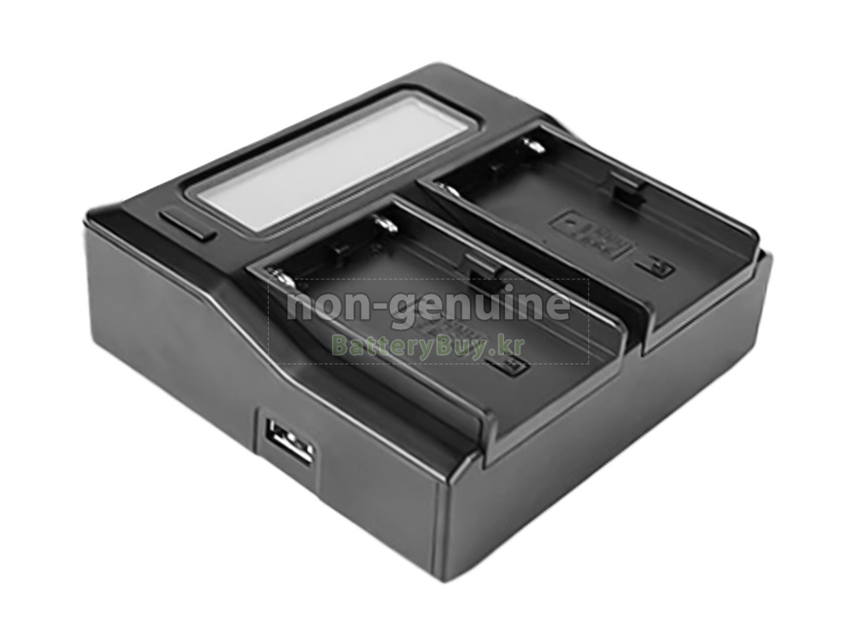 Sony BP-U30 대체 배터리