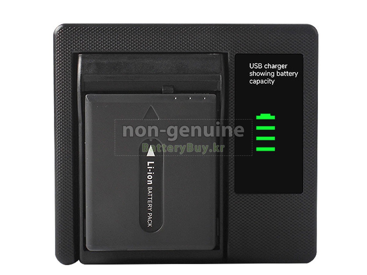 Sony DCR-IP1 대체 배터리