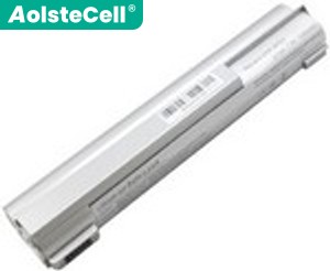 Sony VAIO VGN-T2XP/S 배터리