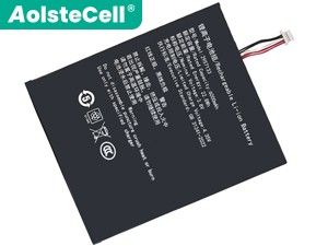 Teclast TA10 배터리
